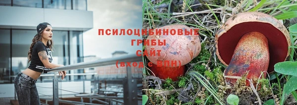 Альфа ПВП Баксан